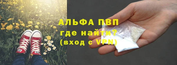 шишки Ахтубинск