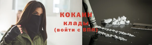 ешки Новозыбков