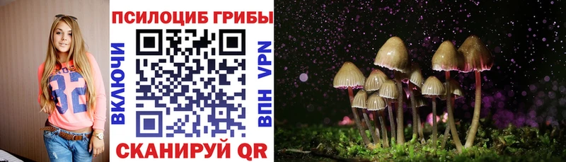 Псилоцибиновые грибы ЛСД Саратов